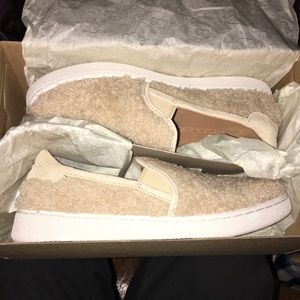 Brand new UGG shoes